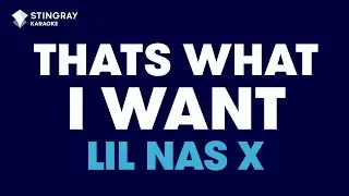 Lil Nas X - THATS WHAT I WANT (Karaoke with Lyrics)