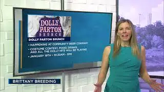 Celebrate Dolly Parton at Community Beer