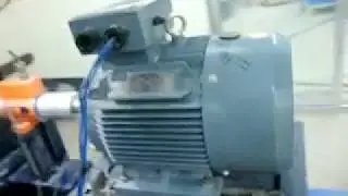 Induction motor testing