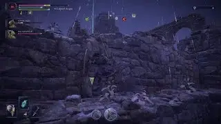 ELDEN RING NIGHTREIGN One Armed Wolf ruined it