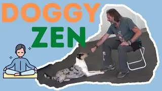 Doggy Zen