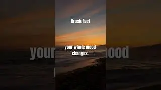 Crush Fact #relatable #crushfacts #psycholgyfacts #shorts #real #relationship #love #facts #sunset