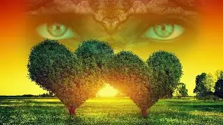 Cleanse Infections, Virus, Bacteria 741Hz Music | Binaural Beats | Detox Body