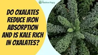 Kale, Oxalates, and Iron Absorption