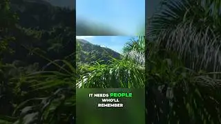 Сохраним мудрость наших старейшин: присоединяйтесь к Garden Melodies прямо сейчас!