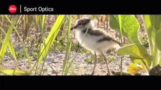 (303) 979-2473 | Find Birding Store Denver Littleton & Digiscoping with Leica Sport Optics
