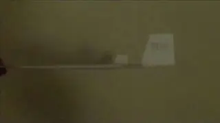 The F3-1P Omniwing Paper Airplane