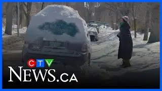 Winnipeg-set film spotlight