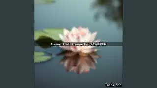 A moment of tranquility