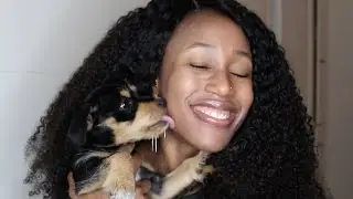 Y-Hair Company Y-Texture Fly Honey Wig Unboxing, Try-On & 1st Impressions. (Also, a Puppy.)