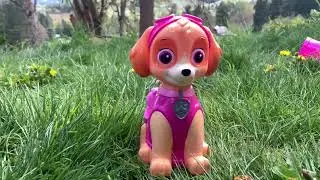 PAW PATROL SKYE ACTION BUBBLE BLOWER