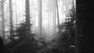 Abyssmal Sorrow -  The Stone Pages