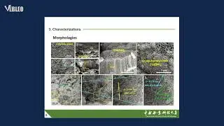 Prof. Dr. Caichao Wan | #Vebleo | Central South University of Forestry and Technology, China