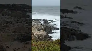 Lordier at Pescadero
