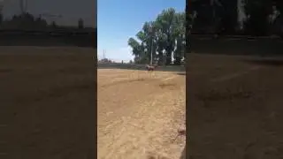 Pebbles fairlea Ranch june2016
