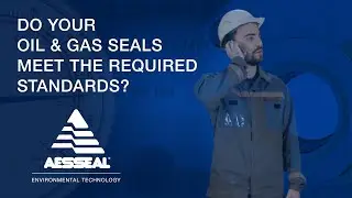 Do your Oil and Gas seals meet the required API standards?