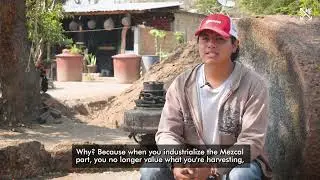 What makes Craft Mezcal different? | by Oliver de Jes&uacute;s Cu&eacute;llar Ram&iacute;rez, Oaxaca