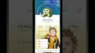 Swinub Community Day Results #shorts #pokemongo #pokemon #shinies
