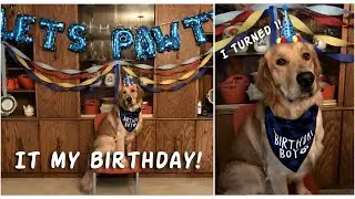 Puppy's FIRST birthday! 🥳