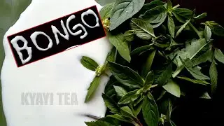 Tekako Ettama lye Mana Kozesa Bongo Bwoti Lino Ddagala Likolerawo