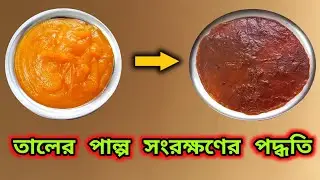 তালের পাল্প সংরক্ষণ করার সহজ ও সরল পদ্ধতি।Long Time Palm Pulp Storage Tips.