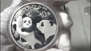 🇨🇳 2021 China 30-gm Silver Panda,  .999 silver coin BU