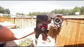 The Most Incredible Binoculars with Smartphone Attachment for Photos