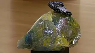 Art zona: Dragan Ilić - (Re)evolucija