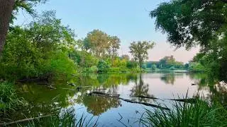 West Ridge Nature Preserve | CHICAGO Parks Walking Tour 4K