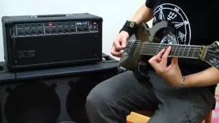 Pick ups Comparison : EMG 81  VS Lundgren M6 (Clean + Dist)