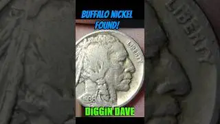 OLD BUFFALO NICKEL FOUND! #coins #coincollecting #coinrollhunting #coin #money