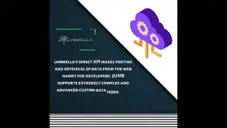 umbrella network decentralized #oracle . the largest #decentralized oracle in the #crypto space
