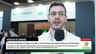 Mercado farmac&ecirc;utico de cannabis cresce 70% e revis&atilde;o da Anvisa pode expandir ainda mais