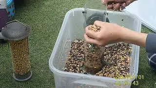 Filling Bird Feeders