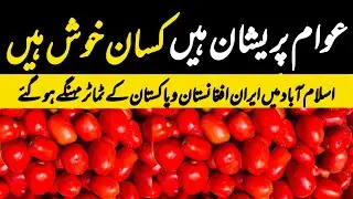 Tomato Market Become Expensive 🔥🔥28 September 2025 | Sabzi Mandi Islamabad | Tomato Prices Update 