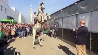 VERONA 2015   RORO   CASTELLANA   E   CAUDILLO  2