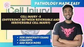 CELL INJURY -5 || Difference between reversible and irreversible cell injury || pathologymadeeasy