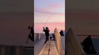 Winter CODFISH: Pier Fishing for COD in Brooklyn NYC #codfish #pierfishing #codfishing #nycfishing