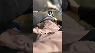 ВОЗЬМИ ЛАСТЫ!