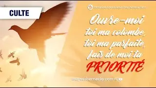 OUVRE-MOI TOI MA COLOMBE, TOI MA PARFAITE, FAIS DE MOI TA PRIORITE