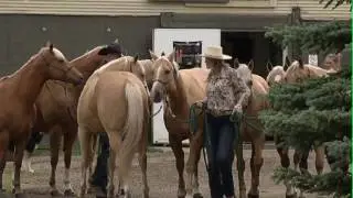 Saddle Up - Smithbilt Float