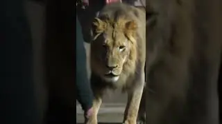 2 फ़रवरी 2026
