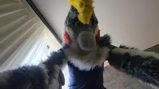 Kali Crush IFC2024
