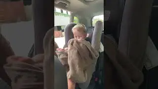 This Travel Blanket is PERFECT for Road Trips! | Kmart Australia #Shorts