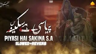 Pyasi Hai Sakina s.a | Zairek Ali | Nasir Zaidi | Slowed+Reverb+Lyrics | Tears Of Hussain