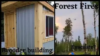 Finished brooder building/Heat wave started a FOREST FIRE we may need to evacuate