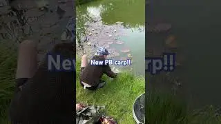 Can you guess the weight of my new PB carp??? #fishing #carp