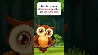 Owl Facts for Kids 🦉 | Night Animal Learning Video | Preschool Wildlife | Owl facts for kids