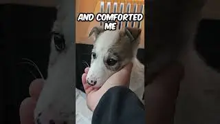 The Best Rescue We&rsquo;ve Ever Done! 😲🐕