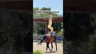 My ponies are +6ft tall, welcome to vaulting #equestrianvaulting #horse #equestrian